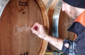 chardonnay-2021-winnica-turnau-dojrzewanie-na-osadzie-1_1.jpg